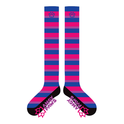 Bi Pride Sockies