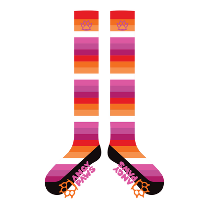 Lesbian Pride Sockies